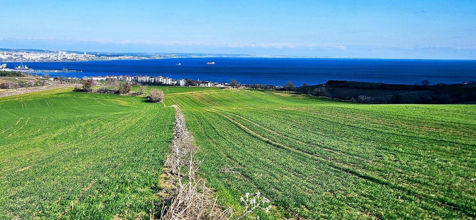 Grundstück Mit Freiem Meer- Und Naturblick, Geeignet Für Ein Villenprojekt Mit 75 Villen In Tekirdağ Barbarosta