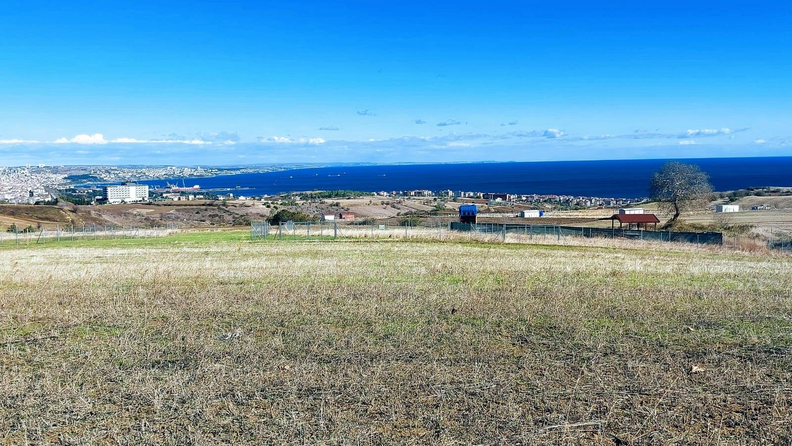 32 Luxusvillen Mit Herrlichem Meer-, Natur- Und Stadtblick, Für Das Projekt Geeignetes Grundstück