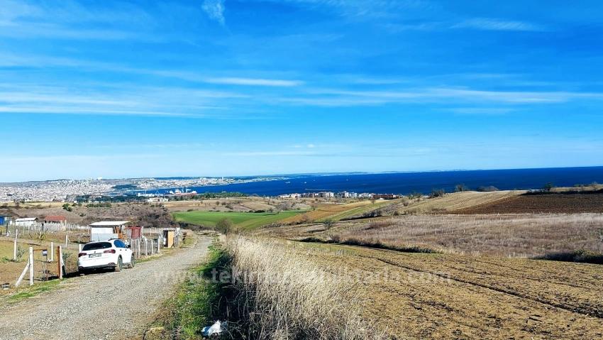 Preisgünstiges Grundstück Mit Freiem Blick Auf Meer, Natur Und Stadt, Bebauungsplan Für 20 % Zweigeschossige Bebauung.