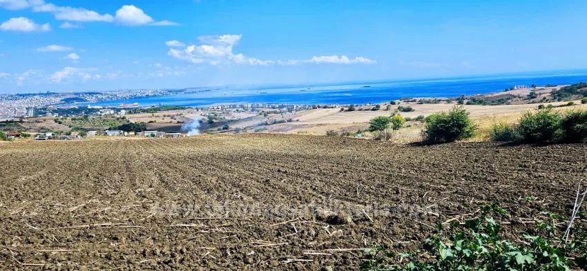 Land Zu Verkaufen in Barbaros Bz. Süleymanpaşa Kumbağ - Villa-Zonierung - 405 m²