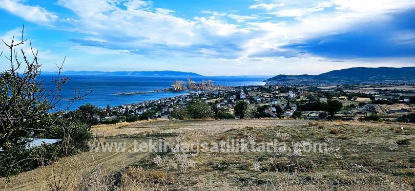 Land Zu verkaufen in Barbaros Bz. Süleymanpaşa Kumbağ - Gehäuse-Zonierung - 528 m²