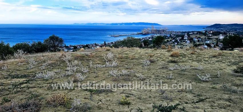 Land Zu verkaufen in Barbaros Bz. Süleymanpaşa Kumbağ - Gehäuse-Zonierung - 528 m²