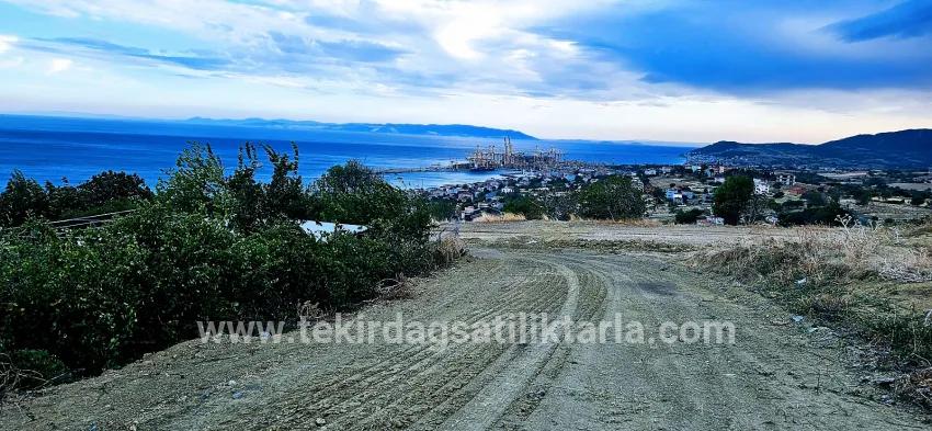 Land Zu verkaufen in Barbaros Bz. Süleymanpaşa Kumbağ - Gehäuse-Zonierung - 528 m²