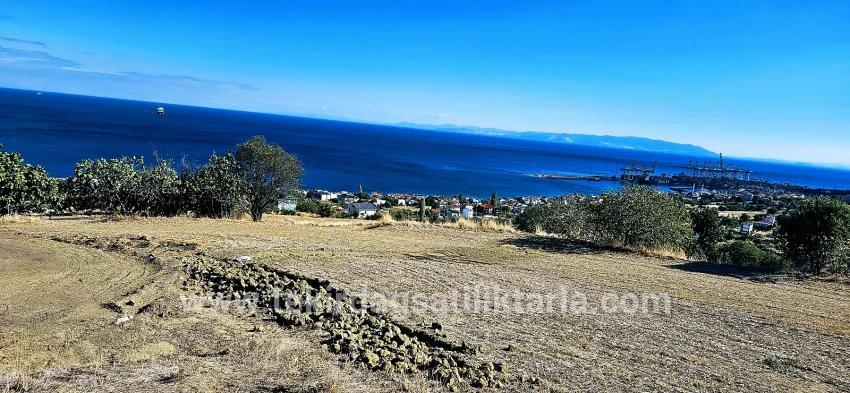 Land Zu verkaufen in Barbaros Bz. Süleymanpaşa Kumbağ - Gehäuse-Zonierung - 2.780 m²