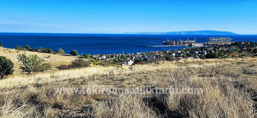 Land Zu verkaufen in Barbaros Bz. Süleymanpaşa Kumbağ - Gehäuse-Zonierung - 530 m²