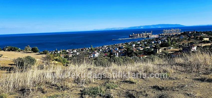 Land Zu verkaufen in Barbaros Bz. Süleymanpaşa Kumbağ - Gehäuse-Zonierung - 530 m²