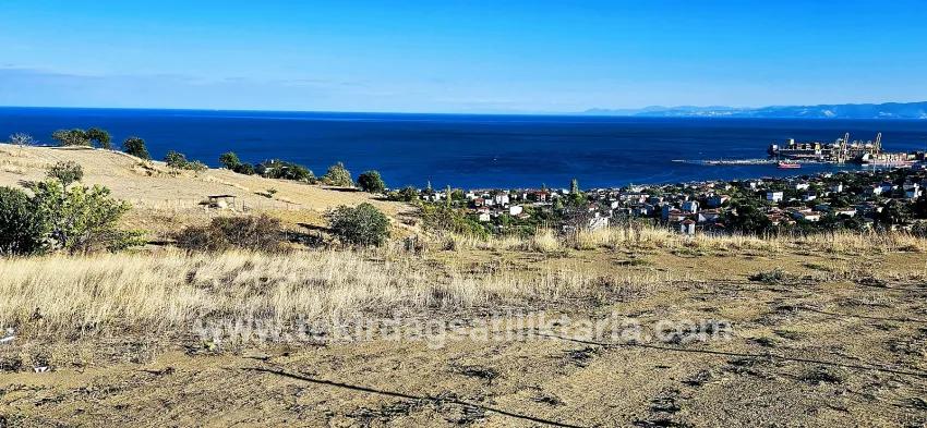 Land Zu verkaufen in Barbaros Bz. Süleymanpaşa Kumbağ - Gehäuse-Zonierung - 530 m²