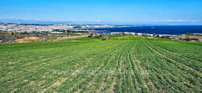 Grundstück Mit Freiem Meer- Und Naturblick, Geeignet Für Ein Villenprojekt Mit 75 Villen In Tekirdağ Barbarosta
