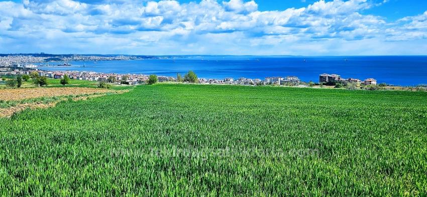 Möglichkeit Zum Bau Von 44 2+1-Wohnungen Mit Vollem Meerblick, Geeignet Für Genossenschafts- Und Einzelbau.