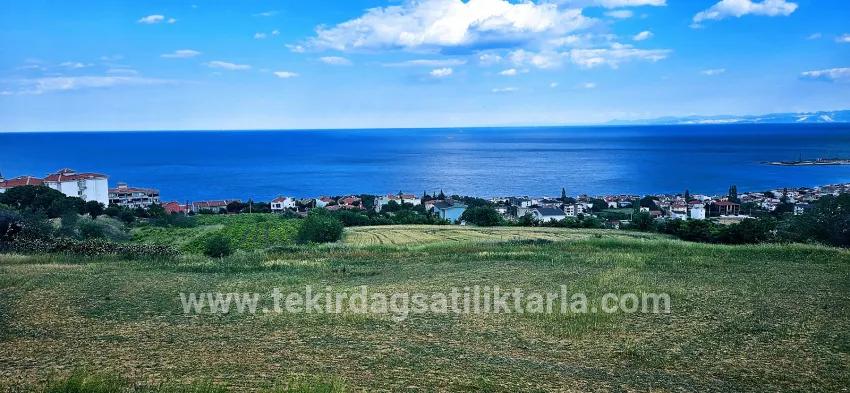 Gelände Zu verkaufen in Barbaros Bz. Süleymanpaşa Kumbağ - Gehäuse-Zonierung - 6.100 m²