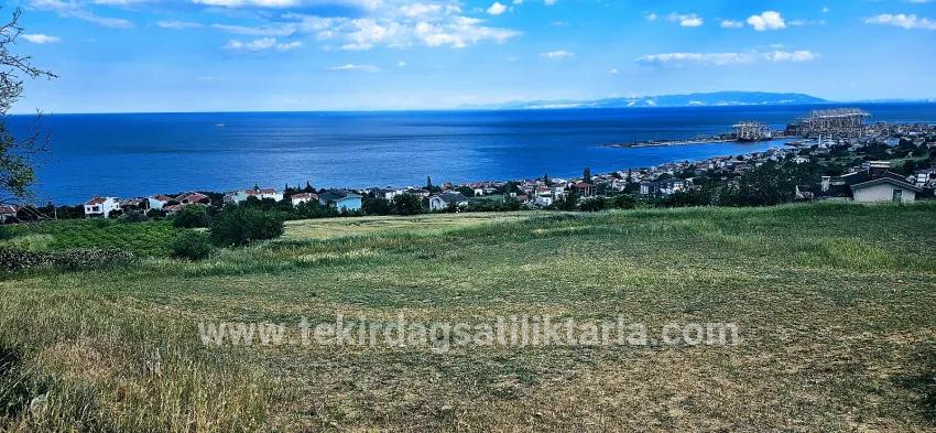 Gelände Zu verkaufen in Barbaros Bz. Süleymanpaşa Kumbağ - Gehäuse-Zonierung - 6.100 m²