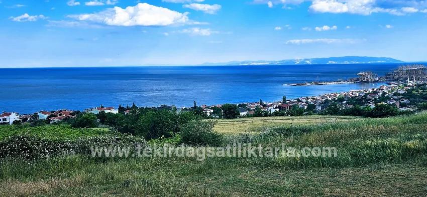 Gelände Zu verkaufen in Barbaros Bz. Süleymanpaşa Kumbağ - Gehäuse-Zonierung - 6.100 m²