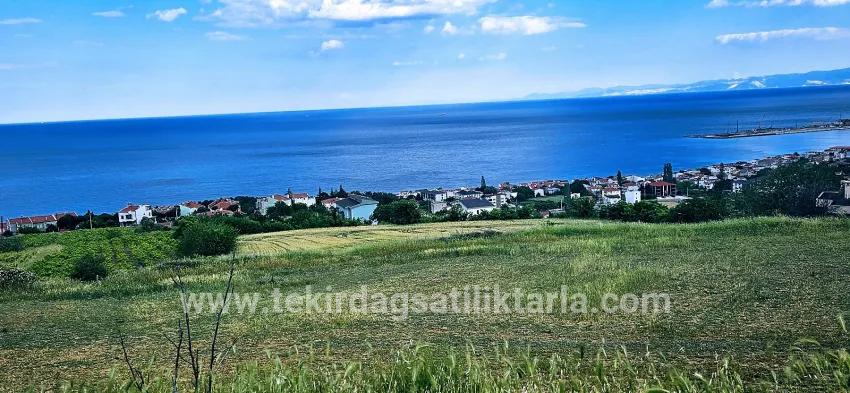 Gelände Zu verkaufen in Barbaros Bz. Süleymanpaşa Kumbağ - Gehäuse-Zonierung - 6.100 m²