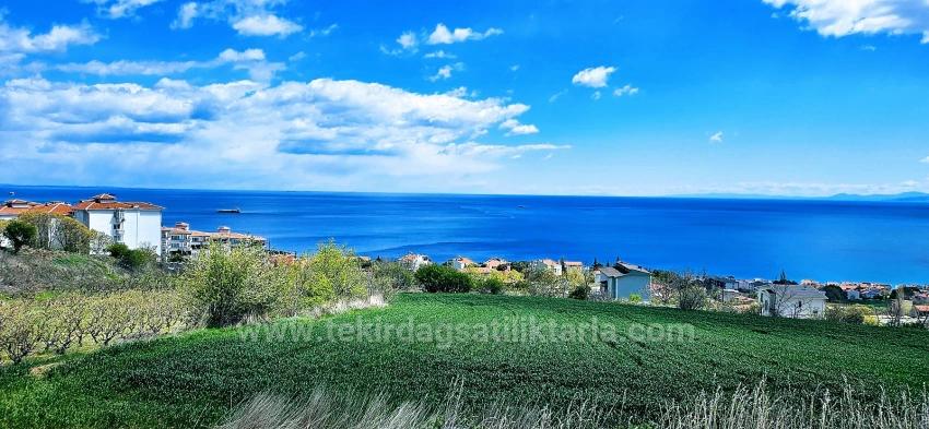 15 Luxuriöse Villen Mit Einzigartigem Panoramablick Auf Meer Und Natur, Gelegen In Einer Für Das Projekt Geeigneten Gegend.