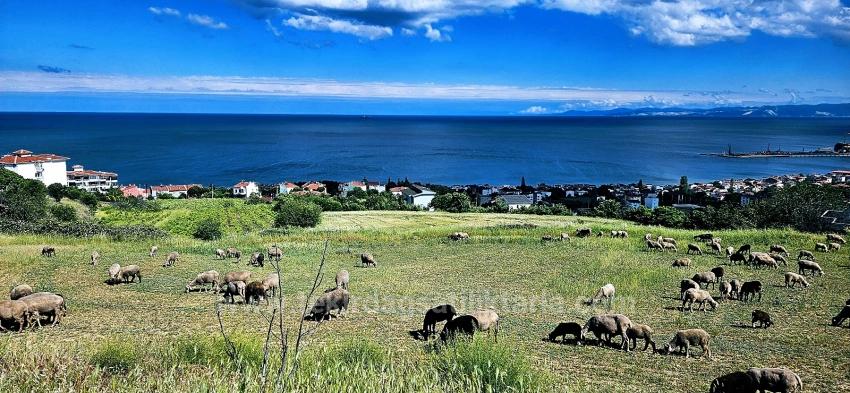 45 2+1 Apartments Mit Einzigartigem Panoramablick Auf Meer Und Natur, Geeignet Für Genossenschaftsprojekte