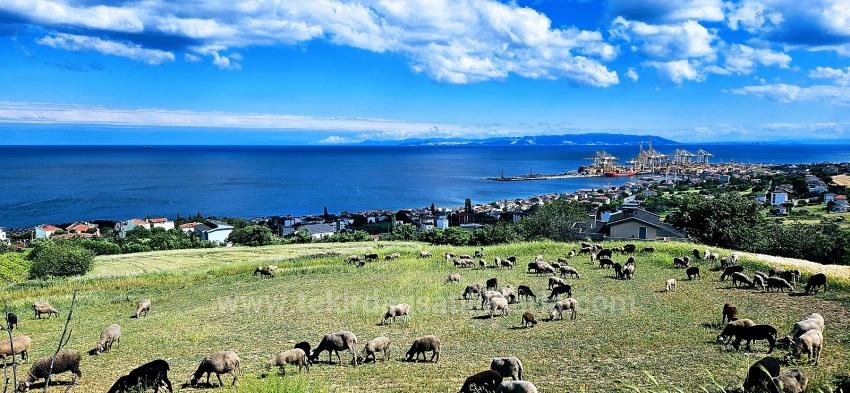 45 2+1 Apartments Mit Einzigartigem Panoramablick Auf Meer Und Natur, Geeignet Für Genossenschaftsprojekte
