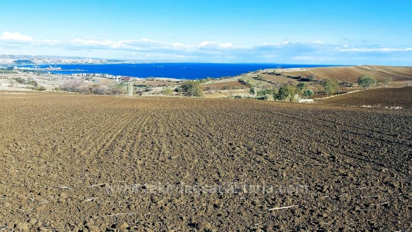 Grundstück Dringend Zu Verkaufen, Geeignet Für 12 Villenprojekte Mit Herrlichem Meer- Und Naturblick.