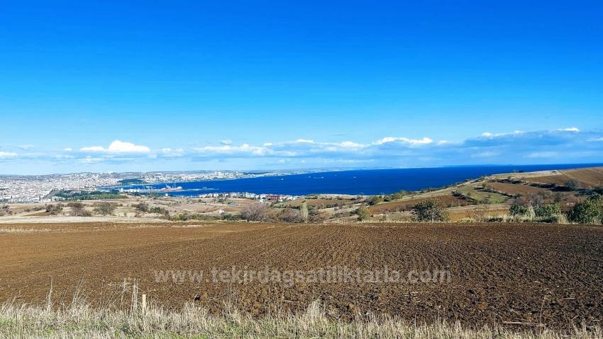 Grundstück Dringend Zu Verkaufen, Geeignet Für 12 Villenprojekte Mit Herrlichem Meer- Und Naturblick.
