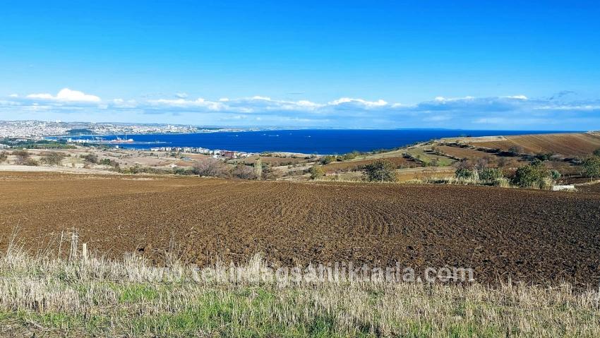 Gelände Zu verkaufen in Barbaros Bz. Süleymanpaşa Kumbağ - Villa-Zonierung - 6.350 m²