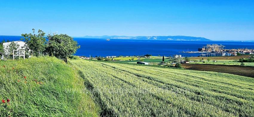 Grundstück Geeignet Für Genossenschafts- Und Bauprojekte Mit 50 Wohnungen Und Freiem Meer- Und Naturblick.