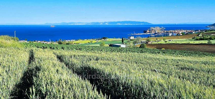 Grundstück Geeignet Für Genossenschafts- Und Bauprojekte Mit 50 Wohnungen Und Freiem Meer- Und Naturblick.