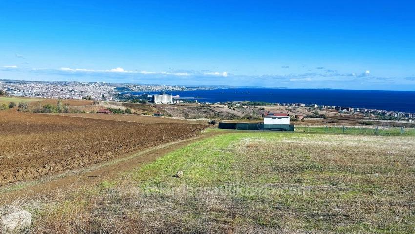 32 Luxusvillen Mit Herrlichem Meer-, Natur- Und Stadtblick, Für Das Projekt Geeignetes Grundstück