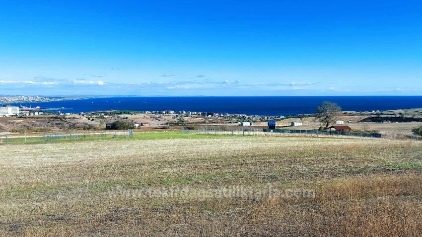 32 Luxusvillen Mit Herrlichem Meer-, Natur- Und Stadtblick, Für Das Projekt Geeignetes Grundstück