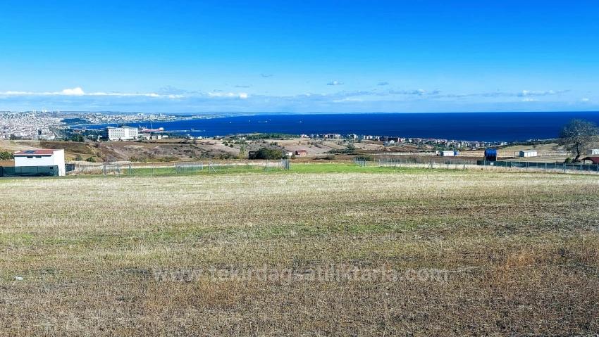 32 Luxusvillen Mit Herrlichem Meer-, Natur- Und Stadtblick, Für Das Projekt Geeignetes Grundstück