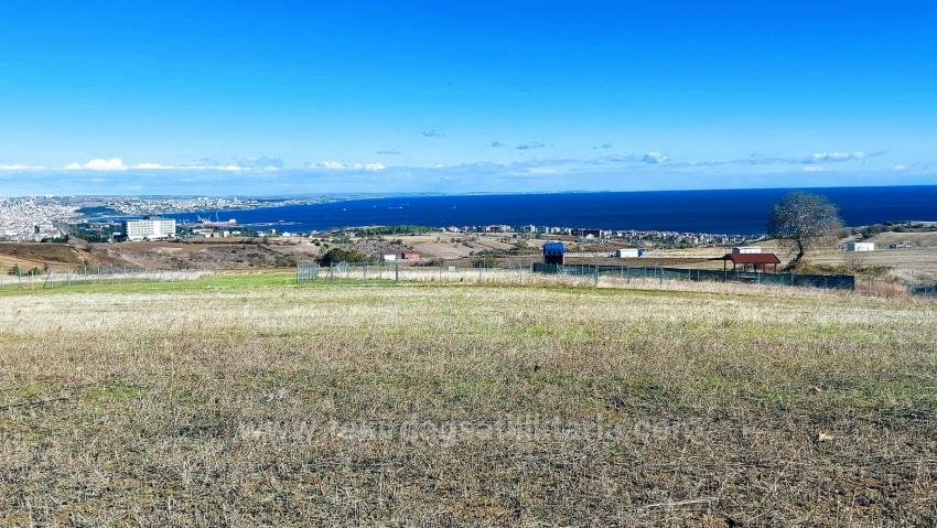 Gelände Zu Verkaufen in Barbaros Bz. Süleymanpaşa Kumbağ - Gehäuse-Zonierung - 15.500 m²