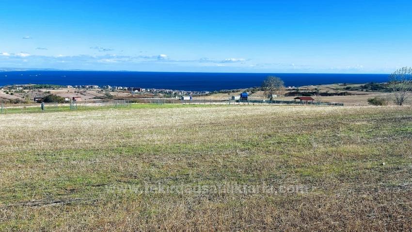 32 Luxusvillen Mit Herrlichem Meer-, Natur- Und Stadtblick, Für Das Projekt Geeignetes Grundstück