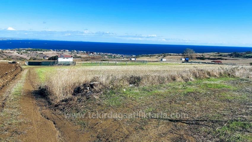 32 Luxusvillen Mit Herrlichem Meer-, Natur- Und Stadtblick, Für Das Projekt Geeignetes Grundstück