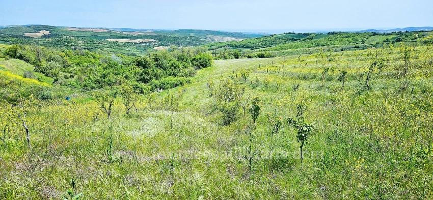 Tauschhandel + Bargeld* Bauen Sie Mit Staatlicher Unterstützung Einen Bauernhof Auf* Produzieren Und Anbauen* Sichern Sie Ihre Zukunft*