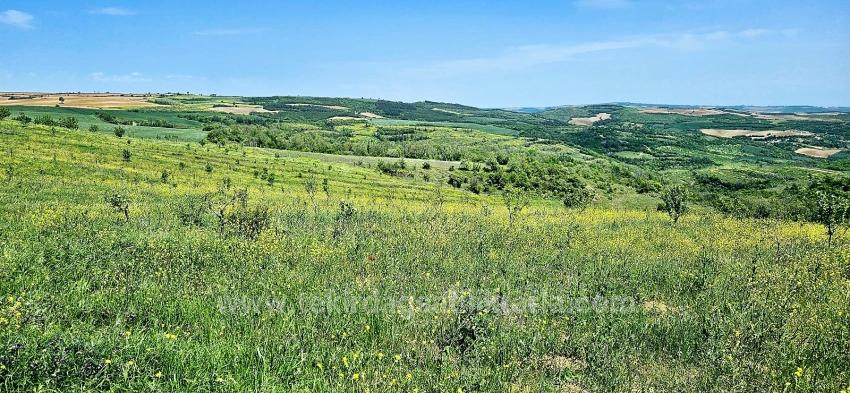 Tauschhandel + Bargeld* Bauen Sie Mit Staatlicher Unterstützung Einen Bauernhof Auf* Produzieren Und Anbauen* Sichern Sie Ihre Zukunft*