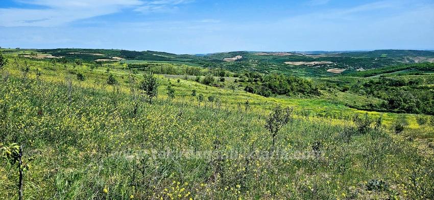 Tauschhandel + Bargeld* Bauen Sie Mit Staatlicher Unterstützung Einen Bauernhof Auf* Produzieren Und Anbauen* Sichern Sie Ihre Zukunft*