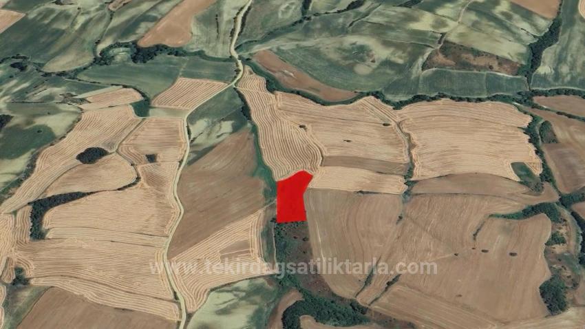 Eine Einmalige Investitionsmöglichkeit: 8.100 M² Schnäppchenland Im Stadtteil Oruç Beyli Von Tekirdağ.