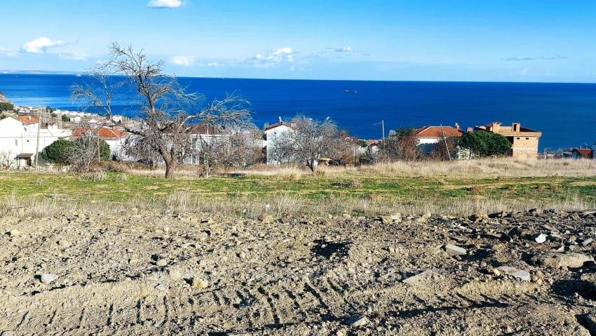 Sie Können Entweder Ein Projekt Für 9 Luxuswohnungen Oder 2 Ultra-Luxusvillen Erstellen.