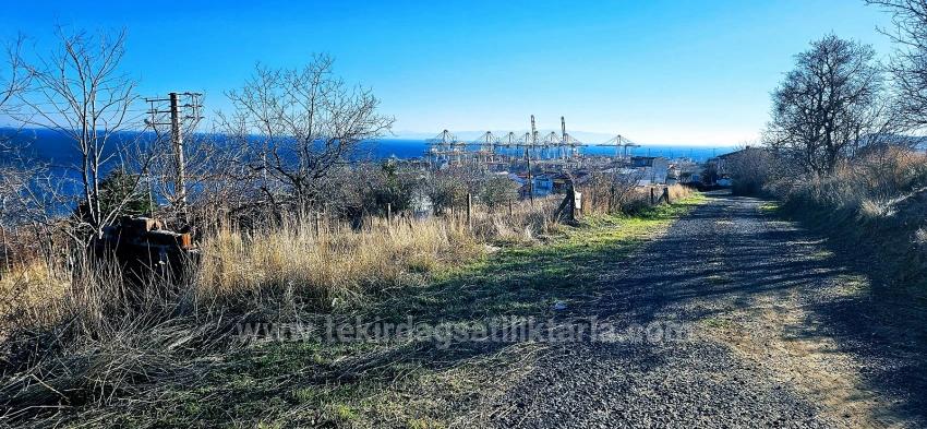 Projekt Von 6 2+1-Apartments Mit Fertiger Infrastruktur Und Herrlichem Meerblick In Tekirdağ Barbarosta