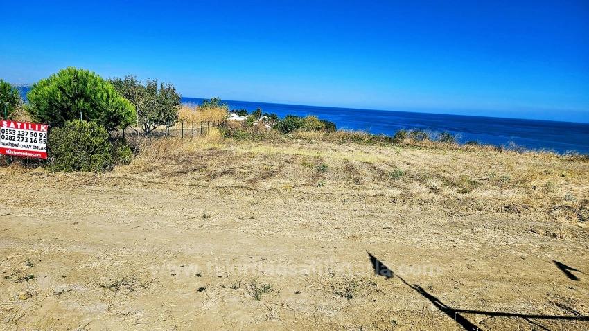 Gelegenheit: Baugrundstück Mit Freiem Meerblick Zum Bau Ihres Traumhauses