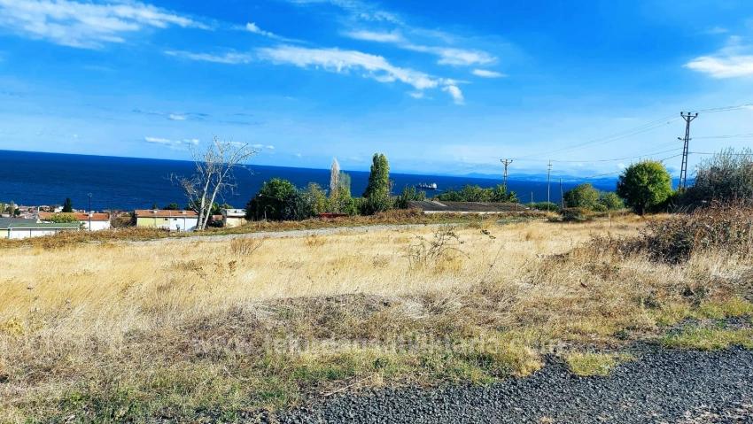 Triplex-Grundstücke Bieten Eine Großartige Gelegenheit Für Alle, Die Mit Geringem Kapital Ein Freistehendes Haus Bauen Möchten.