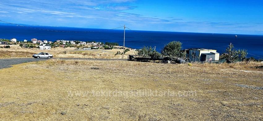 **Unbegrenzter Meerblick** Bauen Sie Ihr Eigenes Freistehendes Haus** Oder Bauen Sie 6 Wohnungen Mit Je 2+1 Bädern