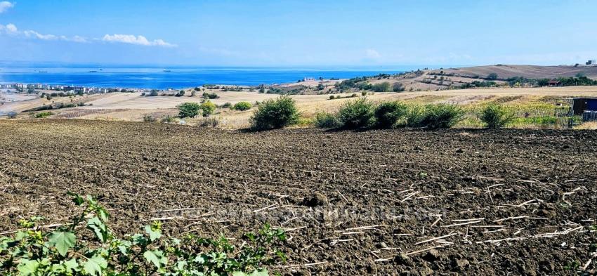Grundstücksmöglichkeit, Geeignet Für 4 Luxusvillen Mit Uneingeschränktem Meerblick