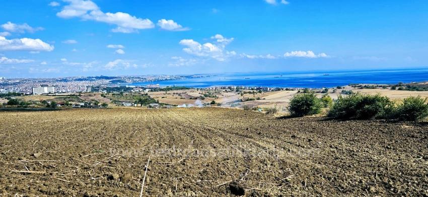 Grundstücksmöglichkeit, Geeignet Für 4 Luxusvillen Mit Uneingeschränktem Meerblick