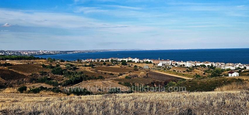 Schnäppchen: 1.150 M² Großes Grundstück Mit Vollem Meerblick Im Viertel Tekirdağ Topağaç