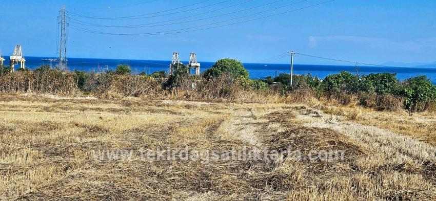Feld Zu verkaufen in Barbaros Bz. Süleymanpaşa Kumbağ - Gehäuse-Zonierung - 8.500 m²