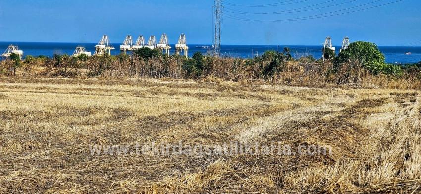 Feld Zu verkaufen in Barbaros Bz. Süleymanpaşa Kumbağ - Gehäuse-Zonierung - 8.500 m²