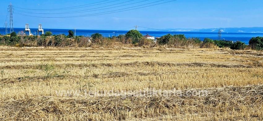 Feld Zu verkaufen in Barbaros Bz. Süleymanpaşa Kumbağ - Gehäuse-Zonierung - 8.500 m²