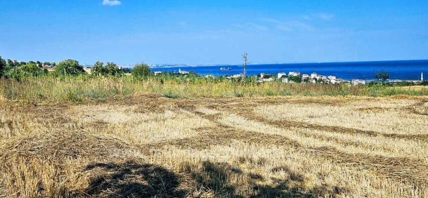 8.500 M² Großes Wohnbaugrundstück Mit Hohem Gewinnpotenzial, In Der Nähe Des Hafens Von Asyaport