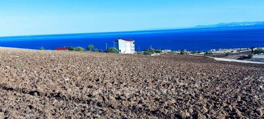 Schnäppchen-Coupon-Land Mit Vollem Meer- Und Naturblick Ist Im Vergleich Zu Seinen Vergleichsobjekten Sehr Erschwinglich
