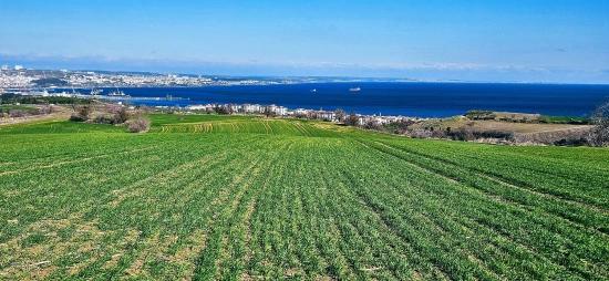 Grundstück Mit Freiem Meer- Und Naturblick, Geeignet Für Ein Villenprojekt Mit 75 Villen In Tekirdağ Barbarosta
