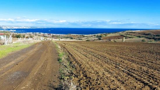 32 Luxusvillen Mit Herrlichem Meer-, Natur- Und Stadtblick, Für Das Projekt Geeignetes Grundstück